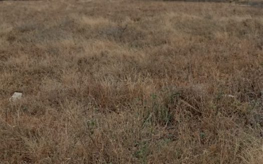 Easily accessible Plots